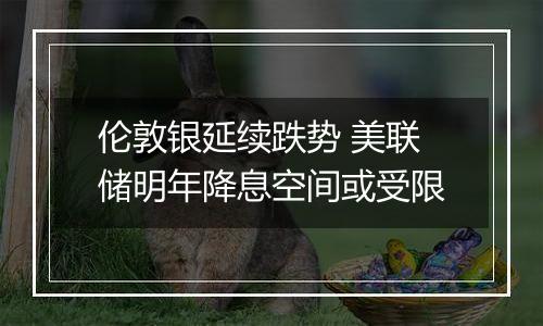 伦敦银延续跌势 美联储明年降息空间或受限