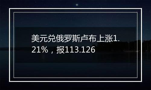 美元兑俄罗斯卢布上涨1.21%，报113.126