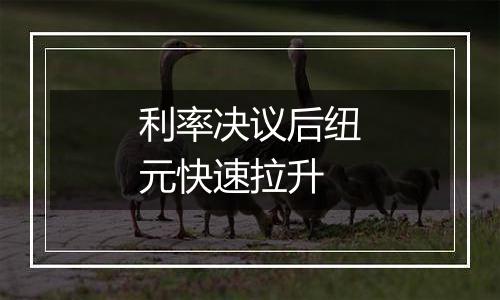 利率决议后纽元快速拉升