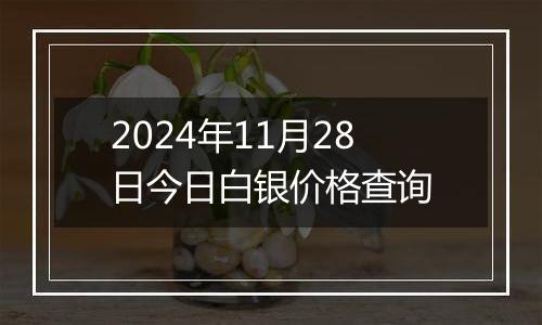 2024年11月28日今日白银价格查询