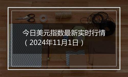 今日美元指数最新实时行情（2024年11月1日）