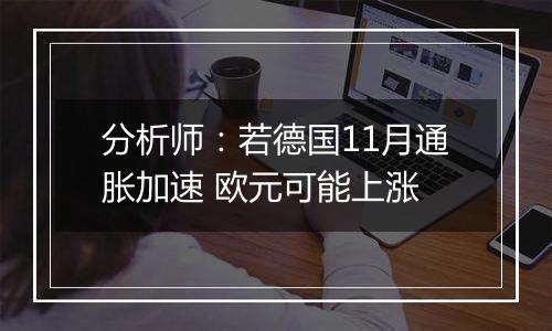 分析师:若德国11月通胀加速 欧元可能上涨
