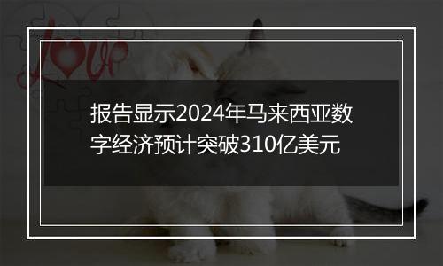 报告显示2024年马来西亚数字经济预计突破310亿美元