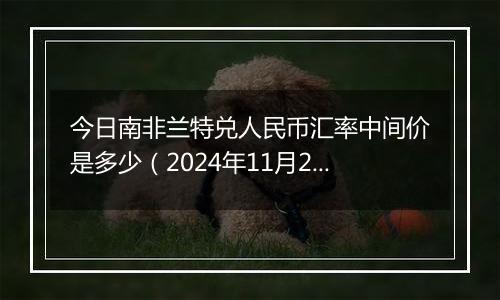 今日南非兰特兑人民币汇率中间价是多少(2024年11月29日)
