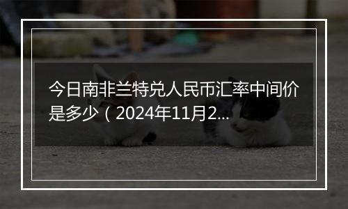 今日南非兰特兑人民币汇率中间价是多少(2024年11月29日)