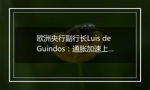 欧洲央行副行长Luis de Guindos:通胀加速上升在意料之中