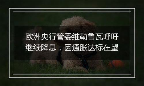 欧洲央行管委维勒鲁瓦呼吁继续降息,因通胀达标在望