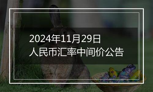 2024年11月29日人民币汇率中间价公告