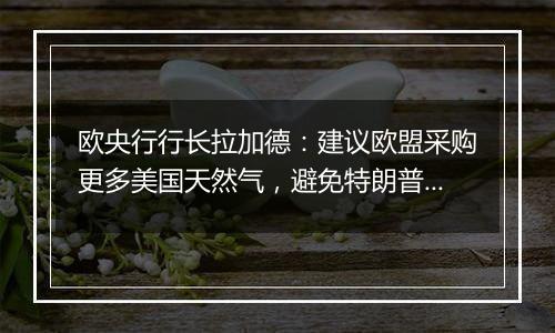 欧央行行长拉加德:建议欧盟采购更多美国天然气,避免特朗普贸易冲突