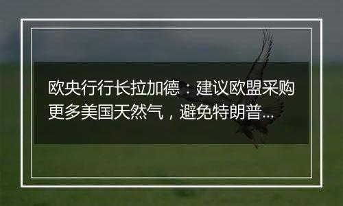 欧央行行长拉加德:建议欧盟采购更多美国天然气,避免特朗普贸易冲突