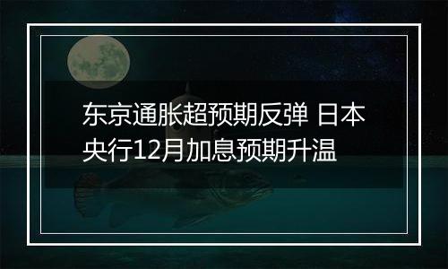 东京通胀超预期反弹 日本央行12月加息预期升温