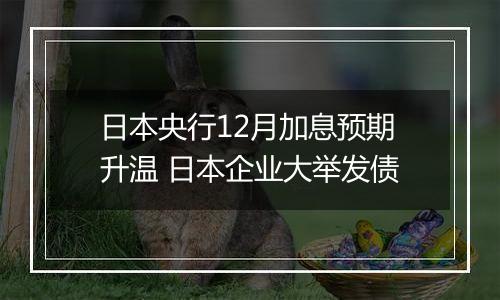日本央行12月加息预期升温 日本企业大举发债