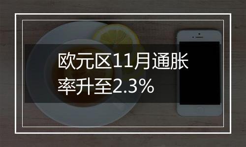 欧元区11月通胀率升至2.3%