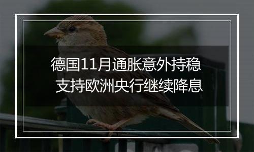 德国11月通胀意外持稳 支持欧洲央行继续降息