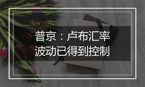 普京:卢布汇率波动已得到控制