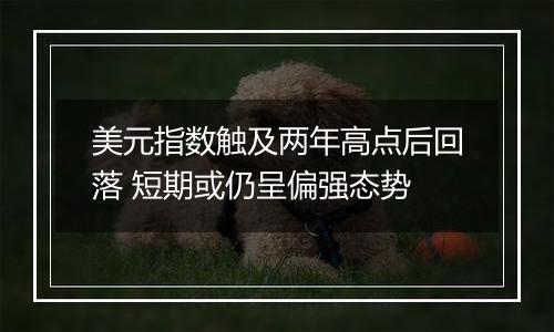 美元指数触及两年高点后回落 短期或仍呈偏强态势