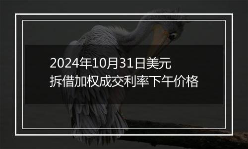 2024年10月31日美元拆借加权成交利率下午价格