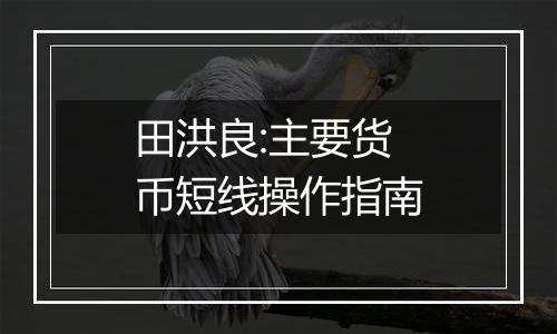 田洪良:主要货币短线操作指南