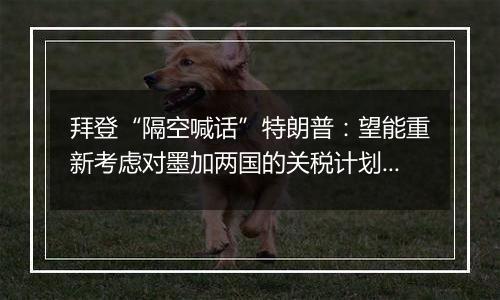 拜登“隔空喊话”特朗普:望能重新考虑对墨加两国的关税计划!
