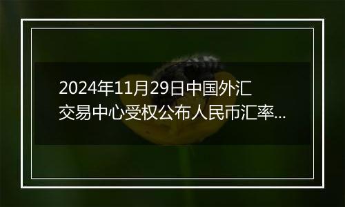 2024年11月29日中国外汇交易中心受权公布人民币汇率中间价公告