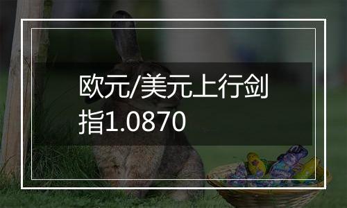 欧元/美元上行剑指1.0870