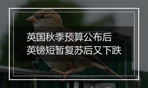 英国秋季预算公布后 英镑短暂复苏后又下跌