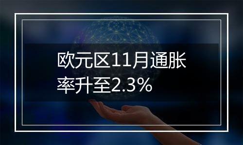 欧元区11月通胀率升至2.3%