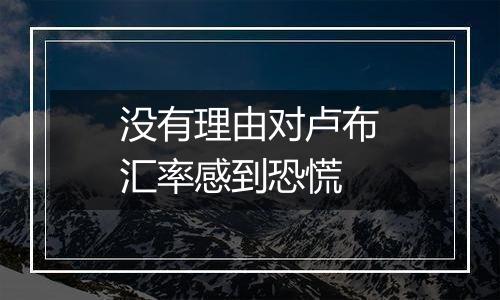 没有理由对卢布汇率感到恐慌