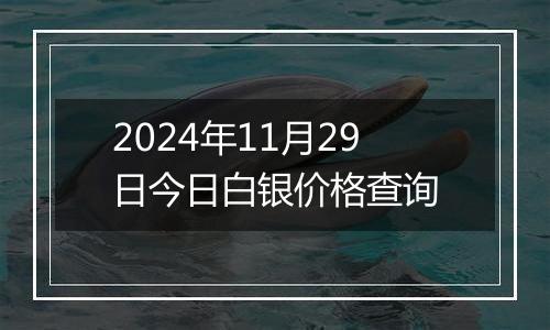 2024年11月29日今日白银价格查询