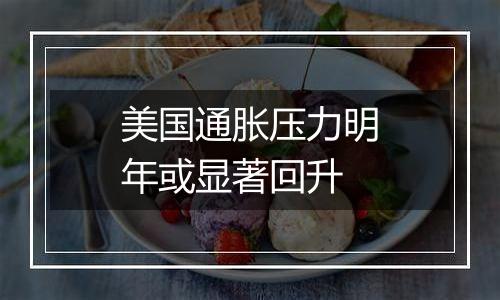 美国通胀压力明年或显著回升