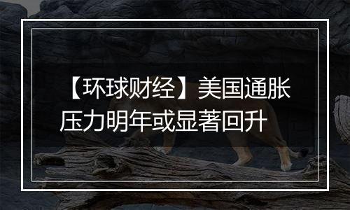 【环球财经】美国通胀压力明年或显著回升