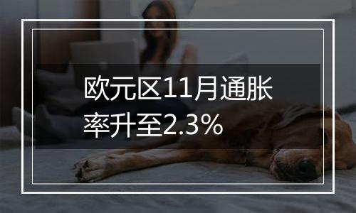 欧元区11月通胀率升至2.3%