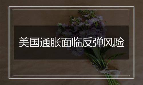 美国通胀面临反弹风险