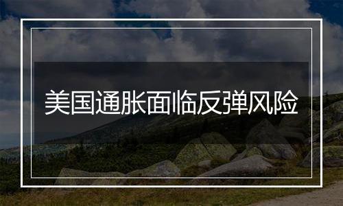 美国通胀面临反弹风险