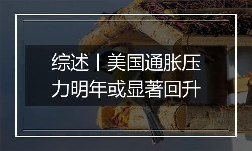 综述丨美国通胀压力明年或显著回升