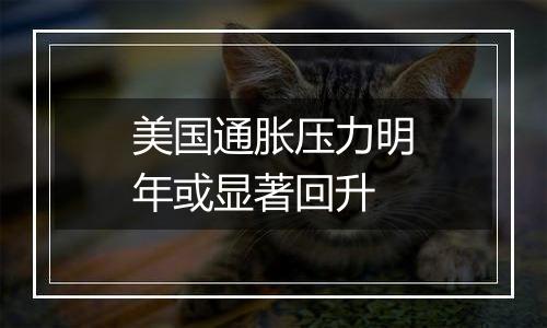 美国通胀压力明年或显著回升