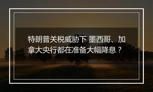 特朗普关税威胁下 墨西哥、加拿大央行都在准备大幅降息?