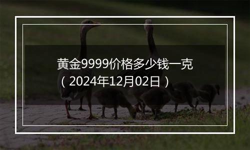 黄金9999价格多少钱一克(2024年12月02日)