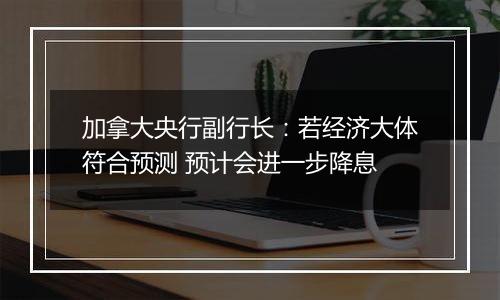 加拿大央行副行长:若经济大体符合预测 预计会进一步降息