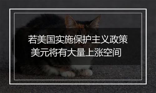 若美国实施保护主义政策 美元将有大量上涨空间
