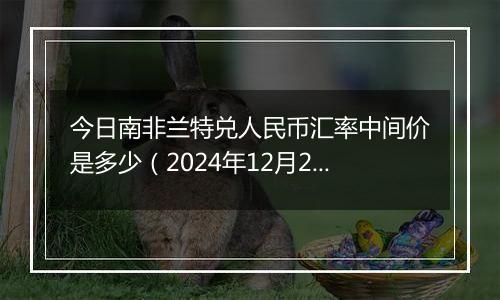 今日南非兰特兑人民币汇率中间价是多少(2024年12月2日)