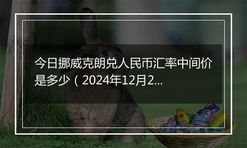 今日挪威克朗兑人民币汇率中间价是多少(2024年12月2日)