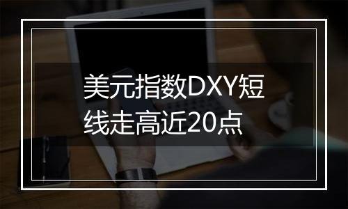 美元指数DXY短线走高近20点