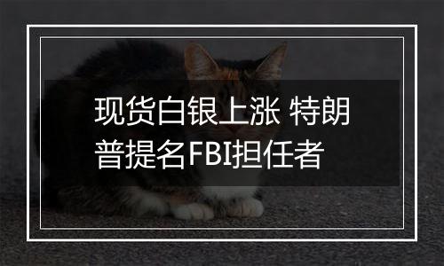 现货白银上涨 特朗普提名FBI担任者