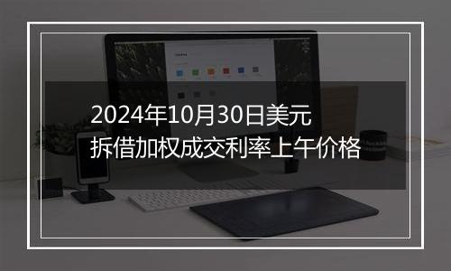 2024年10月30日美元拆借加权成交利率上午价格