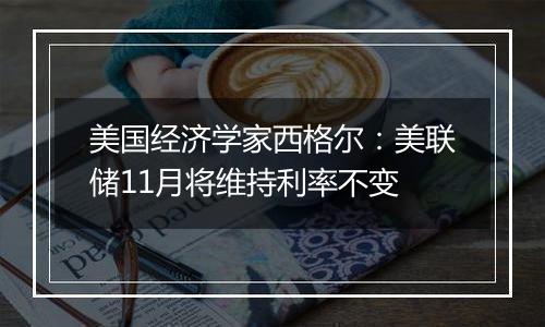 美国经济学家西格尔：美联储11月将维持利率不变