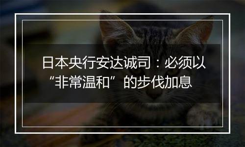 日本央行安达诚司:必须以“非常温和”的步伐加息