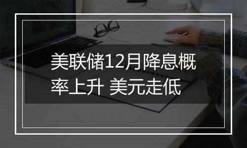 美联储12月降息概率上升 美元走低