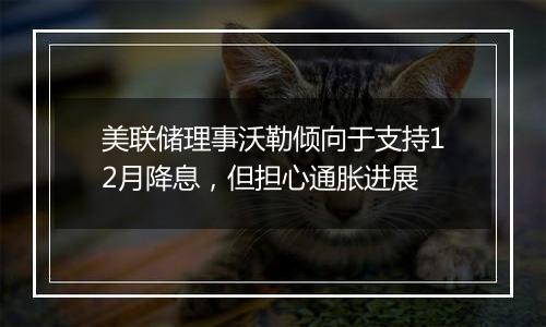 美联储理事沃勒倾向于支持12月降息,但担心通胀进展
