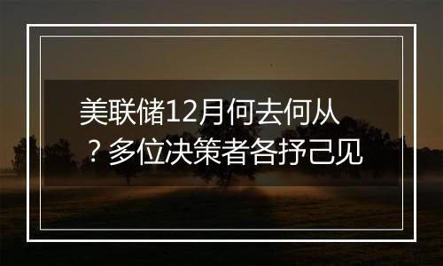 美联储12月何去何从?多位决策者各抒己见